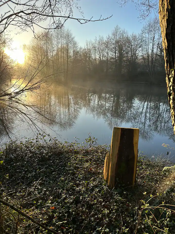 Les étang de St Jean